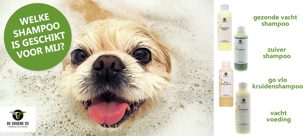 Was je hond met speciale shampoo