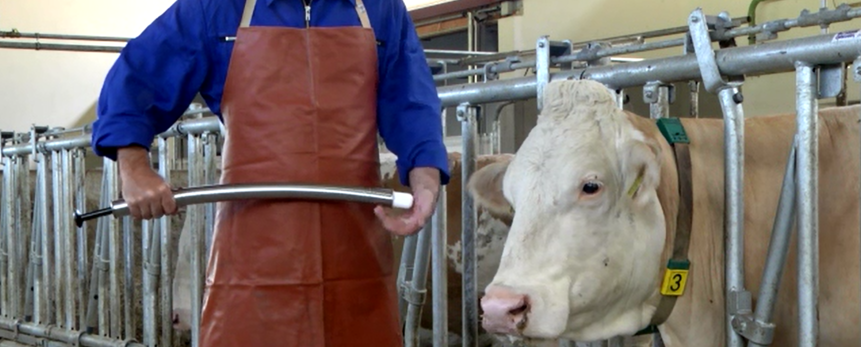 Pillenschieter Vuxxx